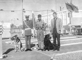 Fotos del archivo de DGSN